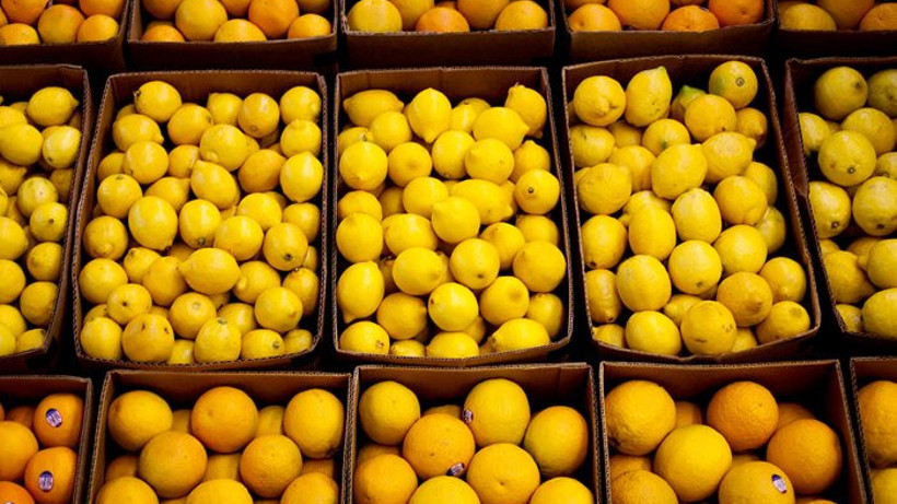Temmuzda zam şampiyonu limon