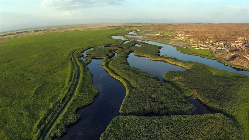 Ağrı Dağı'nda 40 derecede yaban göçü! - Resim: 2