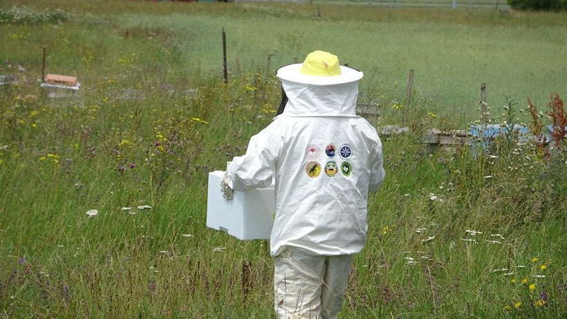 Arı zehrinin fiyatı dudak uçuklatıyor: Kilogramı 100 bin dolar - Resim: 7