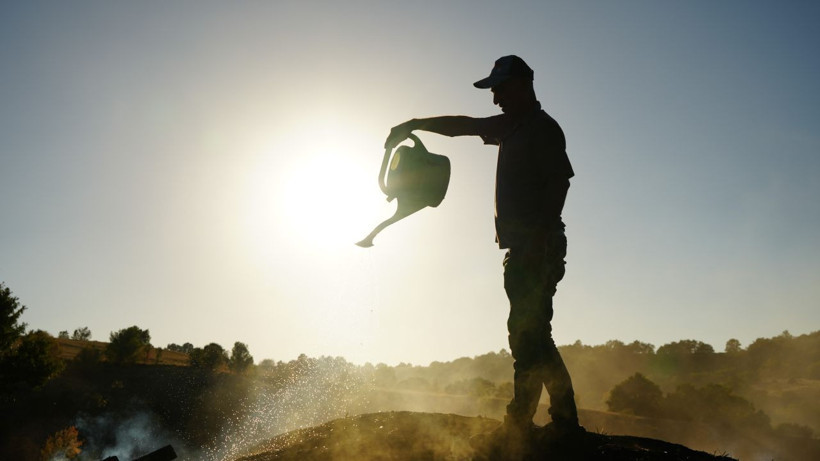 Torlukçuların zorlu mesaisi başladı! Alın teriyle gelen kazanç: 1 milyon 210 bin lira! - Resim: 1
