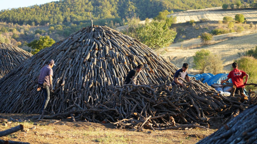 Torlukçuların zorlu mesaisi başladı! Alın teriyle gelen kazanç: 1 milyon 210 bin lira! - Resim: 7