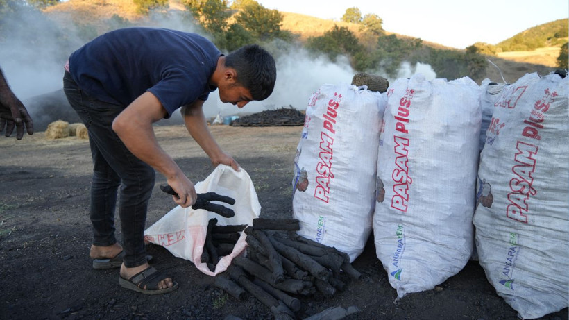 Torlukçuların zorlu mesaisi başladı! Alın teriyle gelen kazanç: 1 milyon 210 bin lira! - Resim: 5