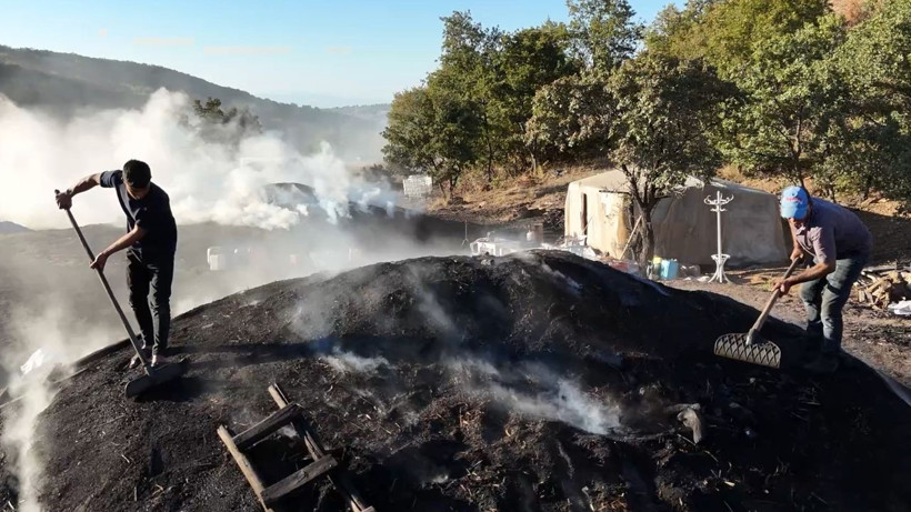 Torlukçuların zorlu mesaisi başladı! Alın teriyle gelen kazanç: 1 milyon 210 bin lira! - Resim: 4