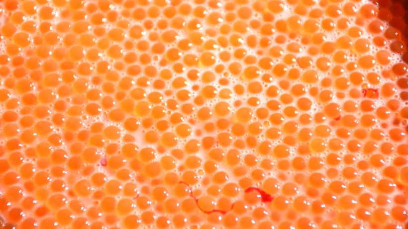 Nüfusu 142 kişi olan köyden 10 Avrupa ülkesine dev ihracat - Resim: 4