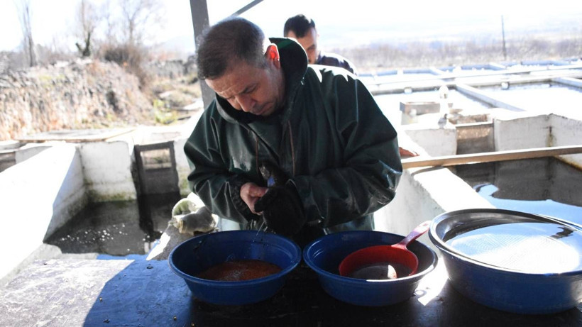 Nüfusu 142 kişi olan köyden 10 Avrupa ülkesine dev ihracat - Resim: 7