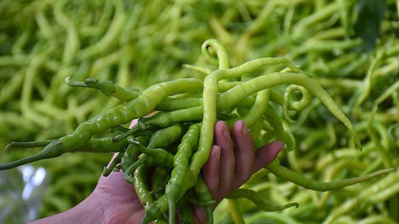 Meyve ve sebzelerde pestisit alarmı: Çilek, ıspanak ve elma zirvede - Resim: 2