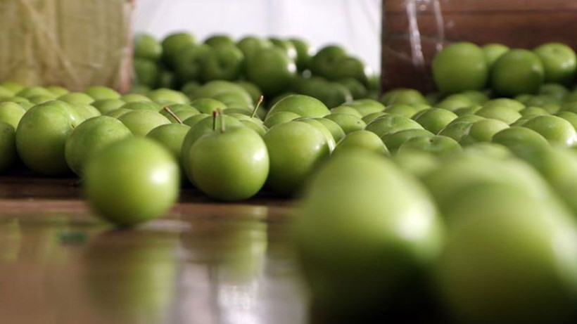 Meyve ve sebzelerde pestisit alarmı: Çilek, ıspanak ve elma zirvede - Resim: 5