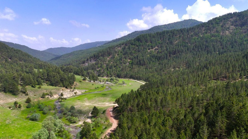 'Burası İsviçre' denilse inanırsınız! Geben Vadisi milli park oldu - Resim: 2