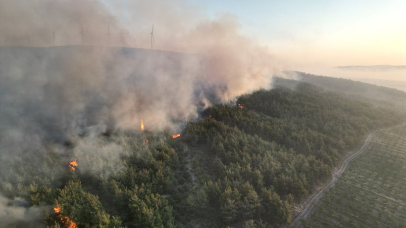 Tekirdağ'da başladı, Çanakkale'ye uzandı! 24 saattir süren yangına müdahale sürüyor: Bazı evler boşaltıldı - Resim: 4