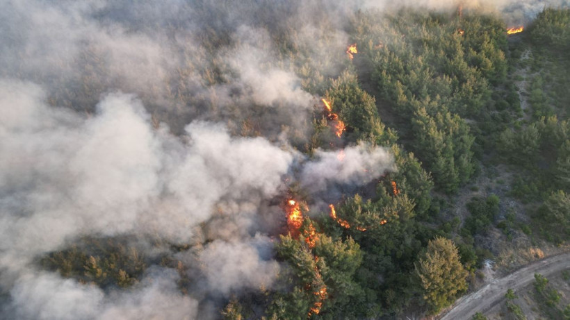Tekirdağ'da başladı, Çanakkale'ye uzandı! 24 saattir süren yangına müdahale sürüyor: Bazı evler boşaltıldı - Resim: 5