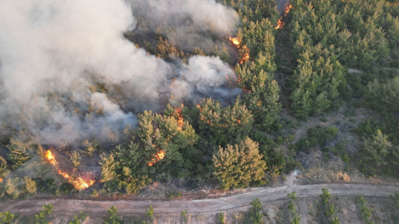 Tekirdağ'da başladı, Çanakkale'ye uzandı! 24 saattir süren yangına müdahale sürüyor: Bazı evler boşaltıldı - Resim: 6
