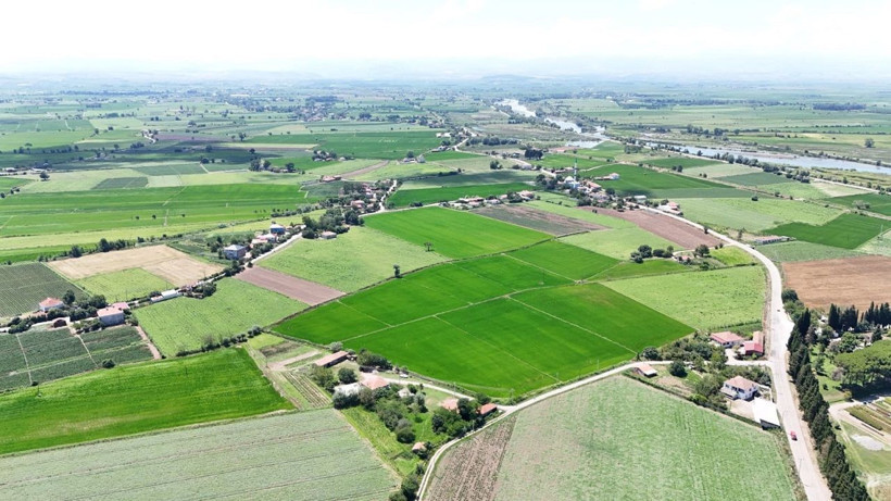 Bafra Ovası'nda hasat zamanı: Kavun-karpuz bolluğu dikkat çekiyor - Resim: 6