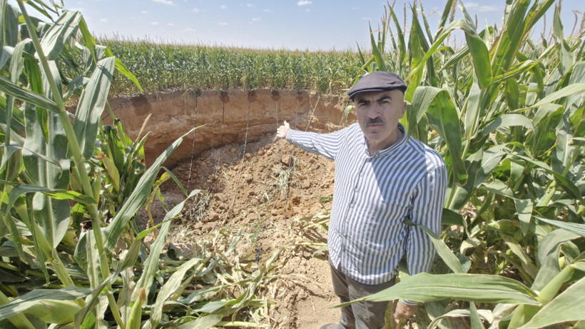 Mısır tarlasında dev obruk! Çiftçi isyanda: Çapı 15 metre - Resim : 1