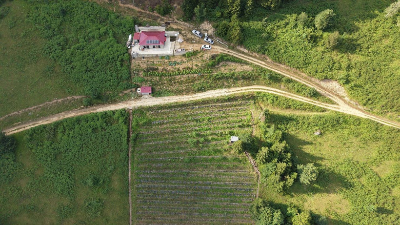 Dağın zirvesinde bereket: 1500 rakımda yaban mersini yetiştiriyor - Resim: 5