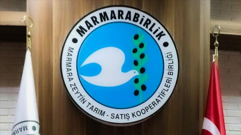 Marmarabirlik 99 bin 300 tonluk rekolte sezonunun ürün alım fiyatlarını açıkladı - Resim : 1