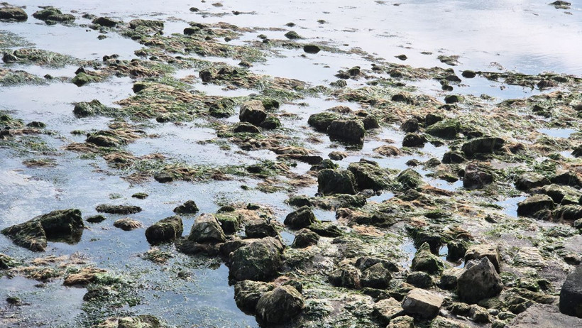 Marmara Denizi 10 metre çekildi! ‘Kral Yolu’ gün yüzüne çıktı - Resim: 5
