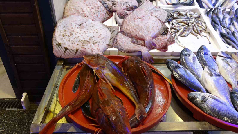 Karadeniz'de bereketli sezon! Kırk yıl sonra bir ilk yaşanıyor - Resim : 1