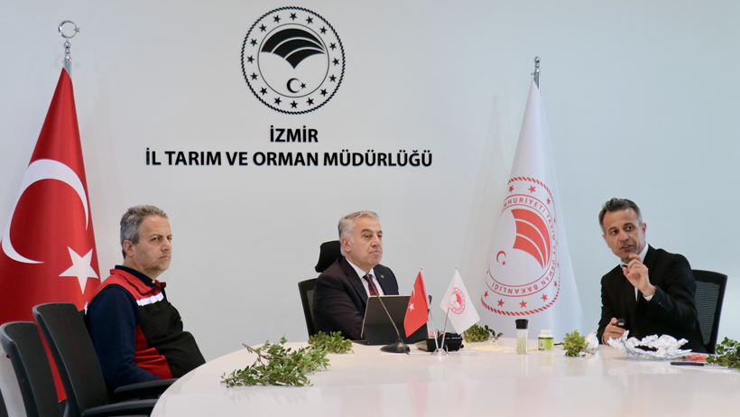 Çeşme'de damla sakızı üretimi artıyor - Resim : 1