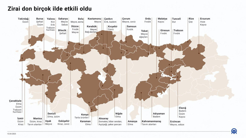 Tarım Dondu - Resim : 1