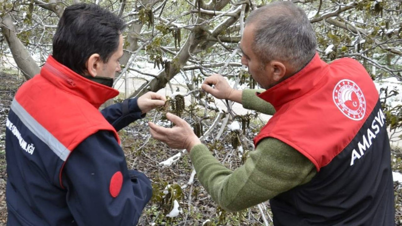 Nisanda 'kara kış' üreticiyi vurdu: Kimse arpadan, meyveden hayır beklemesin - Resim : 3