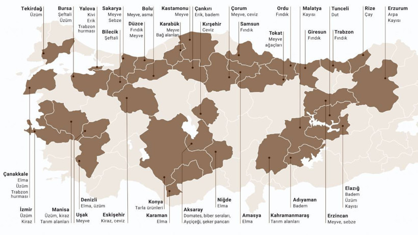 Arz zincirinden gıda enflasyonuna... Zirai donun faturası ağır olacak! - Resim : 1