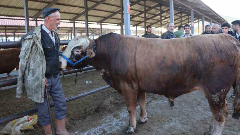 Kurban Bayramı ne zaman, kaç gün kaldı? Kurban Bayramı tatili 9 gün mü? - Resim : 1