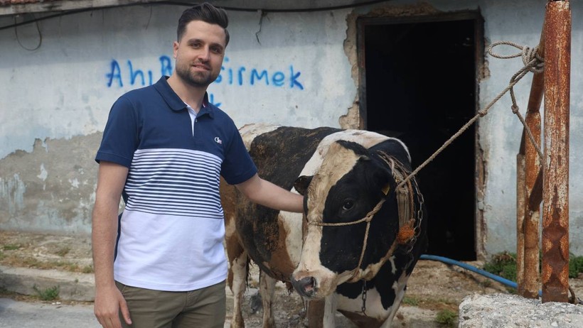Kurbanlık satışında akılalmaz dolandırıcılık: Ava giderken avlandık - Resim : 1
