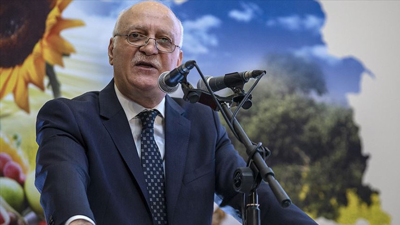 Dondan sonra kuraklık vurdu! Ayçiçeğinde tablo vahim - Resim : 1