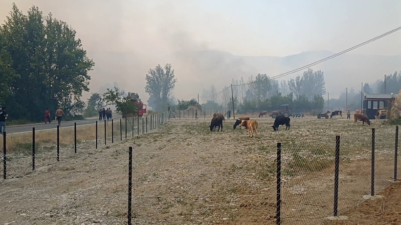 Bakan Yerlikaya duyurdu: İki kent afet bölgesi ilan edildi - Resim : 3