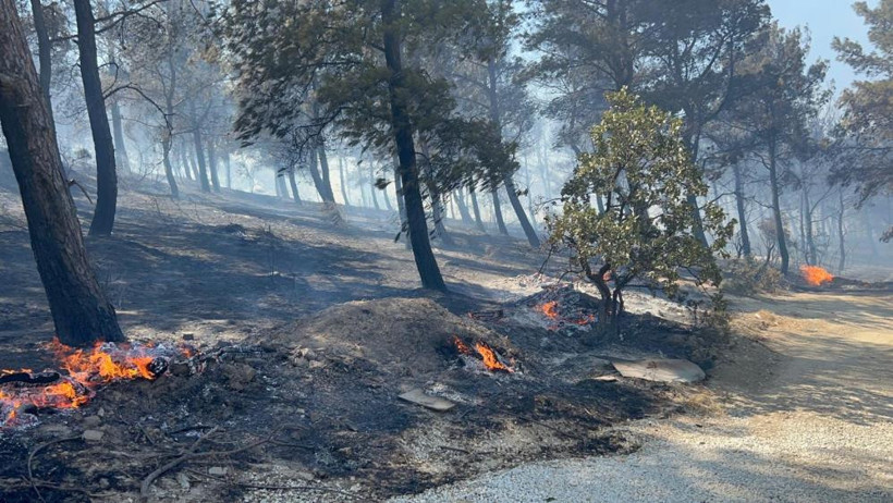 Çanakkale’deki yangın büyüyor: Boğaz trafiği durduruldu, bölgeler tahliye ediliyor - Resim : 3