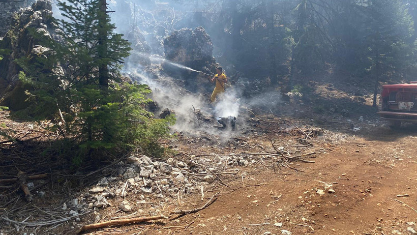 Bolu, Çanakkale, Manisa, Mersin ve Aydın’da orman yangını: Bir köy boşaltıldı - Resim : 1