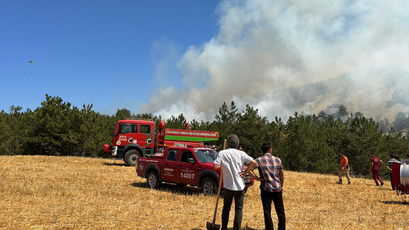 Bolu, Çanakkale, Manisa, Mersin ve Aydın’da orman yangını: Bir köy boşaltıldı - Resim : 2