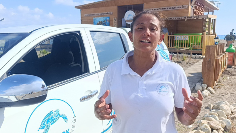 Türkiye’nin ilk 'deniz kaplumbağası ambulansı' görevde: DEKAFOK’tan deniz canlıları için özel ambulans - Resim : 3