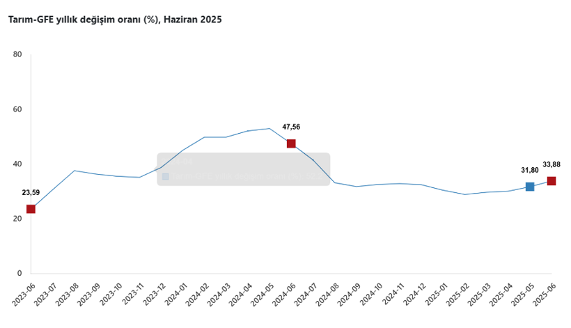Tarımsal girdi fiyatları haziran ayında da arttı - Resim : 2