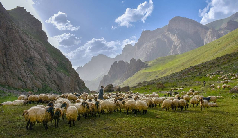 AA'nın 'Yılın Kareleri' oylaması başladı - Resim: 16