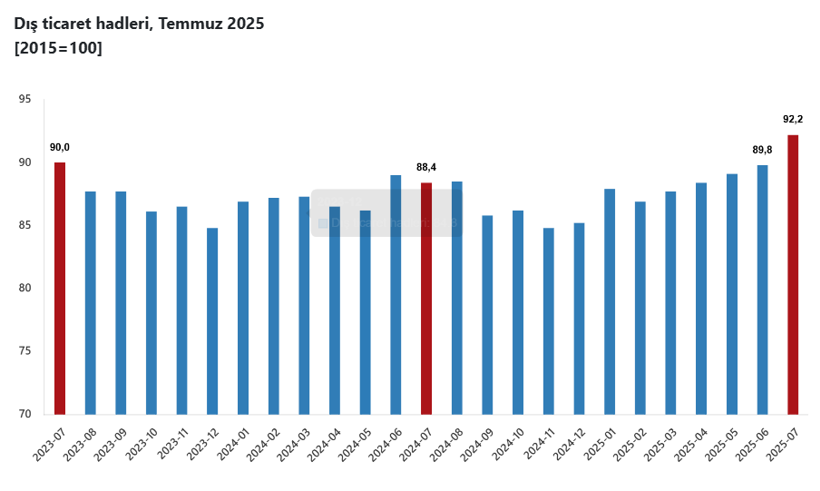 TÜİK açıkladı: Temmuz ayı dış ticaret endeksi belli oldu! - Resim : 7