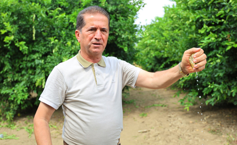 Markette cep yakıyor, kilosu 150 lirayı aştı! Zirai donun vurduğu limonda hasat vakti, fiyatlar düşecek mi? - Resim : 1