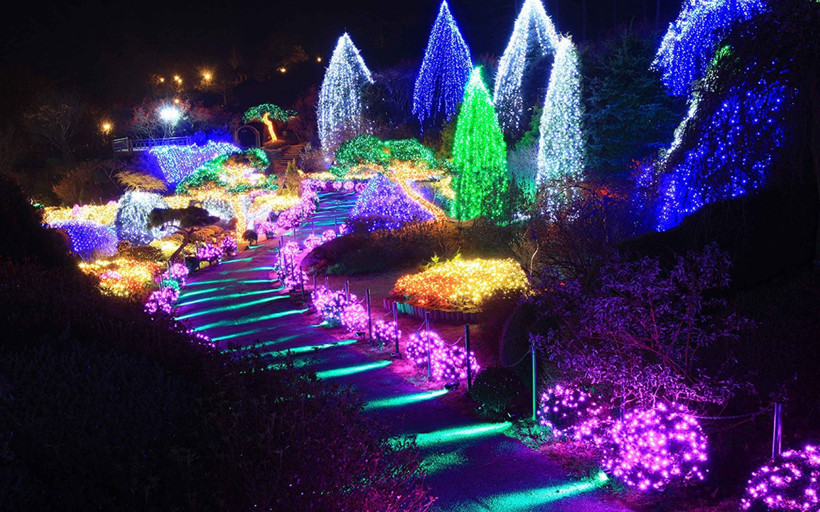 Kore karlar altında sıra dışı seyahat deneyimi sunuyor