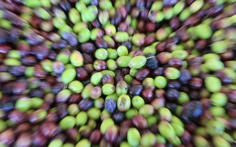 Türkiye, AB'den bir coğrafi işaret tescili daha aldı