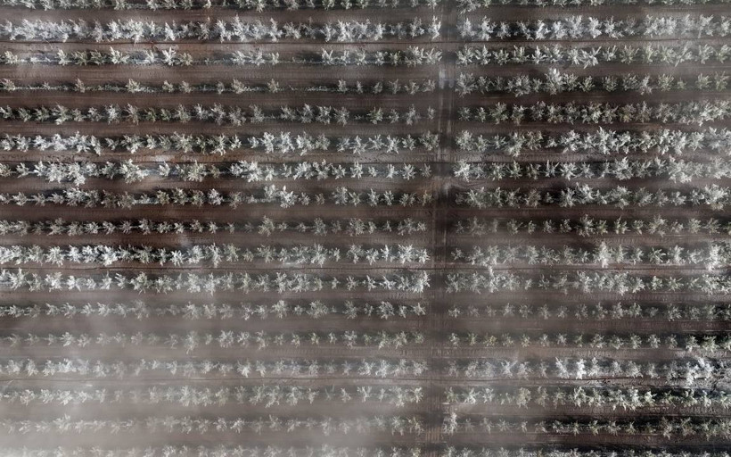 Zirai donun faturası ağır olacak!