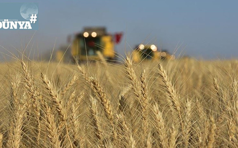 Bitkisel üretimde zorlu yıl: 2025’te soframız küçülecek