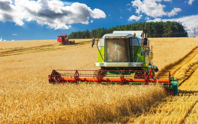 Rusya, 45 milyon ton buğday ihraç etmeyi planlıyor
