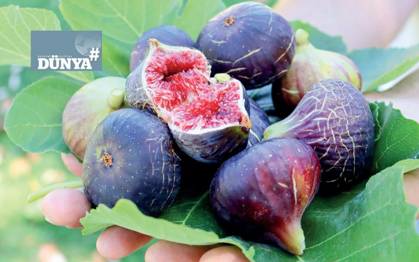 Yerelin iyiliğinde buluşmak: Üründen topluluğa uzanan bir sorumluluk hikâyesi