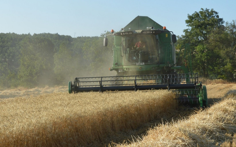 Samsun Havza'da 90 bin ton buğday rekoltesi bekleniyor
