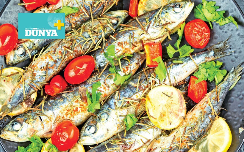 Sardalyanın peşinde: Kıyı kıyı Ege