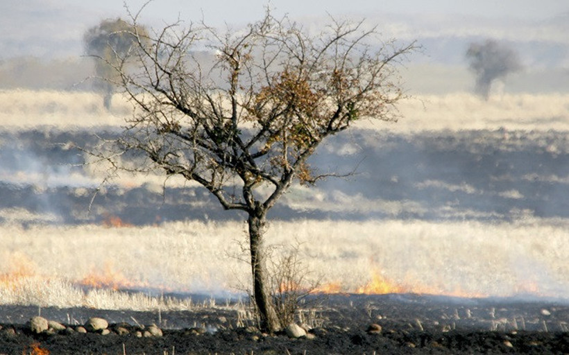 Dünyanın verimli toprak kaybı her yıl 12 milyon hektar