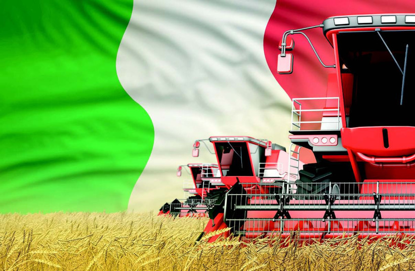 Akdeniz’in iki yakası, tarımın iki yüzü: Türkiye ve İtalya - Resim : 1