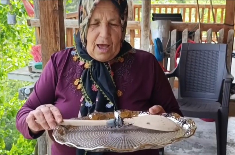 Bu böceğe zarar verene 557 bin TL'lik ceza... - Resim : 2