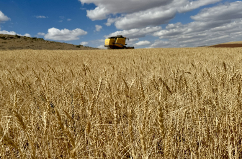 Doğru tohum seçimi kuraklıkta verim kaybını önlüyor - Resim : 2
