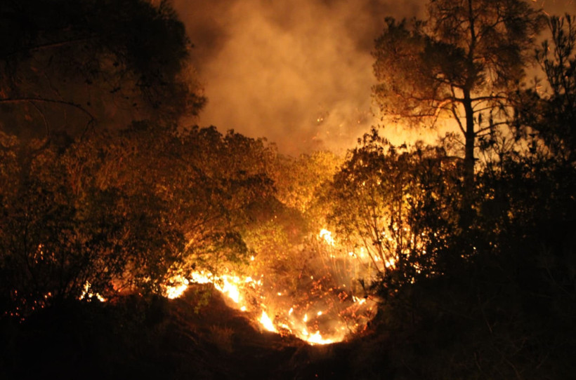 Çanakkale, Edirne, Hatay alev alev! Türkiye’nin orman yangınlarıyla mücadelesi sürüyor - Resim : 1